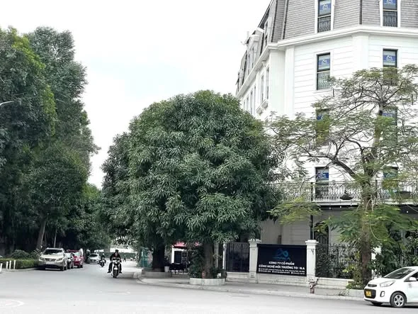 Ảnh bất động sản