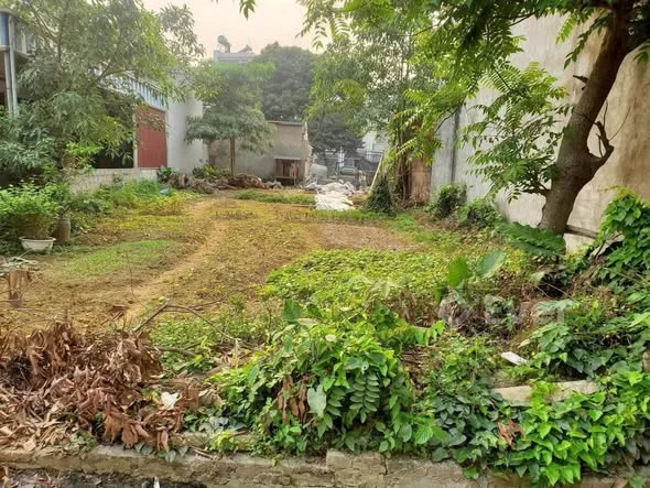 Cần bán:104m2 khu tiên trượng, xuân mai HnVị trí cách QL412b 100m, cách QL6a 150m