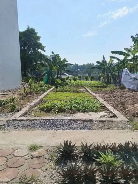 ĐÓN SÓNG VÀNH ĐAI 4 – 87m² GẦN VIN OLYMPIC THƯỜNG TÍN – Ngay TĐC Xâm Động