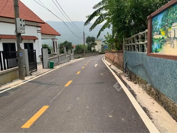 Lô đất tràng Lương phường bình khê cần tìm chủ mới ,Dt 288mv trong đó có 130mv thổ cư