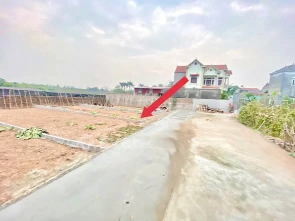 Chính Chủ cần tiền bán gấp 72.5 m và 67,4 full thổ cư tại Đan Kim Văn Giang Hưng yên