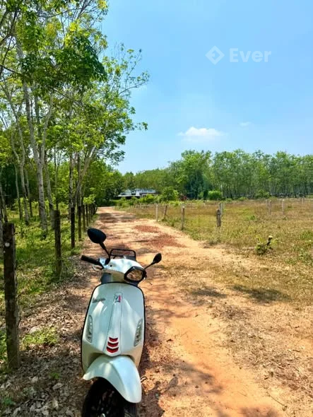 Bán đất vị trí trung tâm xã Định An, huyện Dầu Tiếng