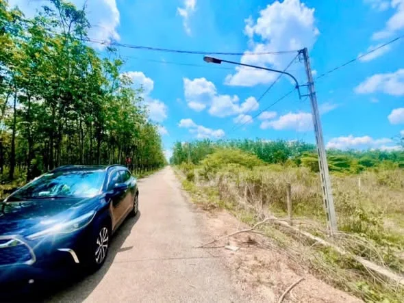 Ảnh bất động sản