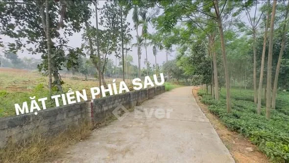 Bán 1100m2 ( có 150 đất ở ) Mặt tiền 15m Hậu 15m Có 2 mặt tiền trước sau Xã Ba Trại Ba Vì