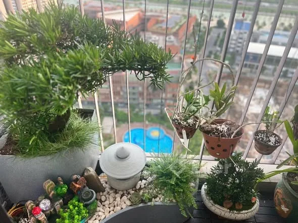 Bán Nhanh căn #3N2W- #85m2- đơn giá rẻ chỉ hơn 61tr/m2T oà S1.06 Sẵn sổ sang tên được luôn