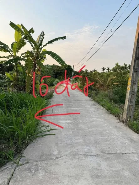 Ảnh bất động sản