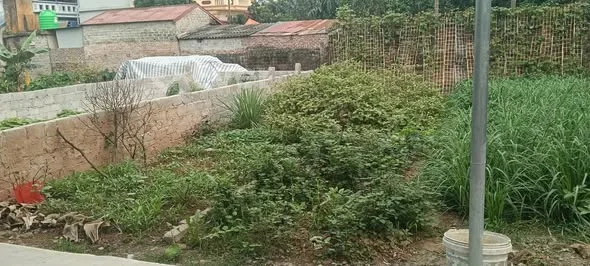 Ảnh bất động sản