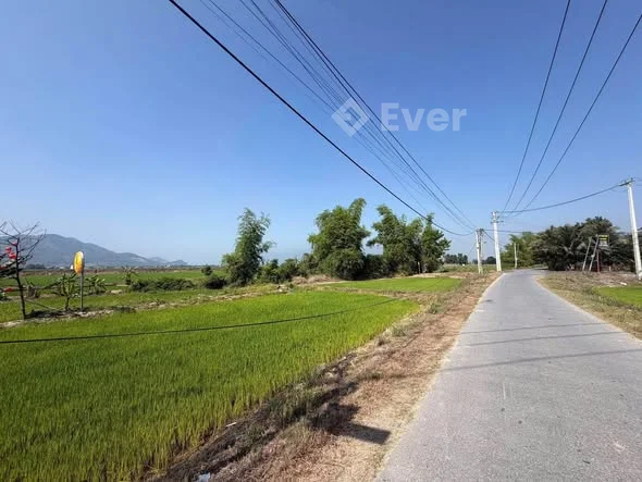 Bán mặt tiền nhựa kinh doanh ngay ngã tư QL1A-Võ Nguyên Giáp