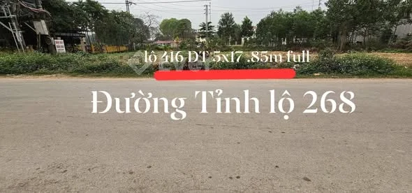 (HÀNG CỰC HIẾM )Đất đấu giá Khu dân cư trung tâm xã Đồng Vương - Yên Thế - Bắc Giang (cũ)