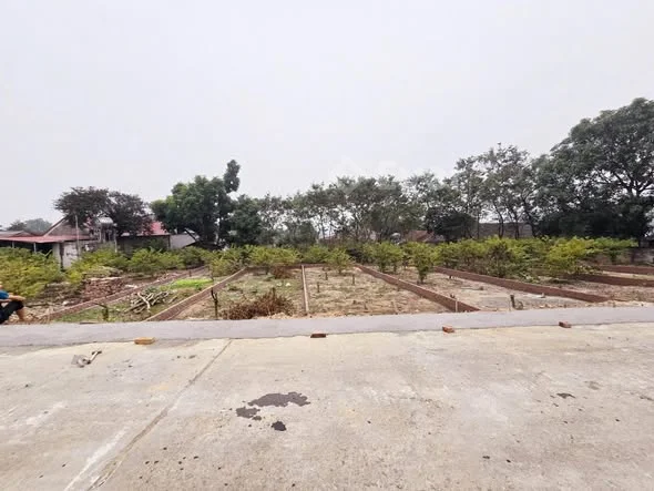 Em Còn 04 Lô Đất F0 Đại Đình - Tam Đảo Đường thông thoáng , rộng 5m 2 oto tránh nhau