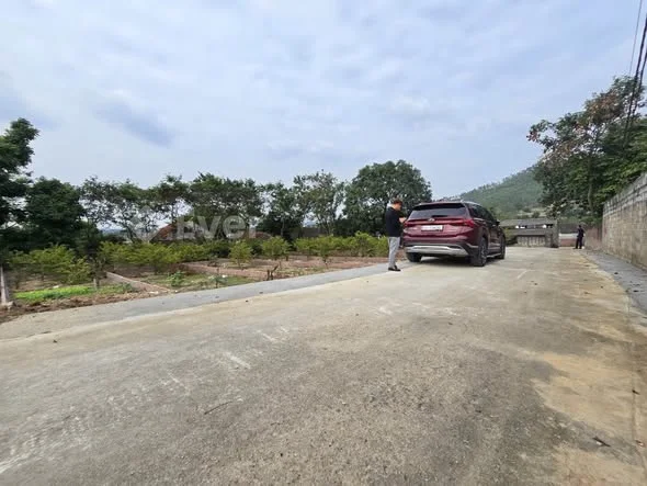 Ảnh bất động sản