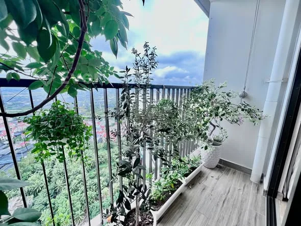 Ảnh bất động sản