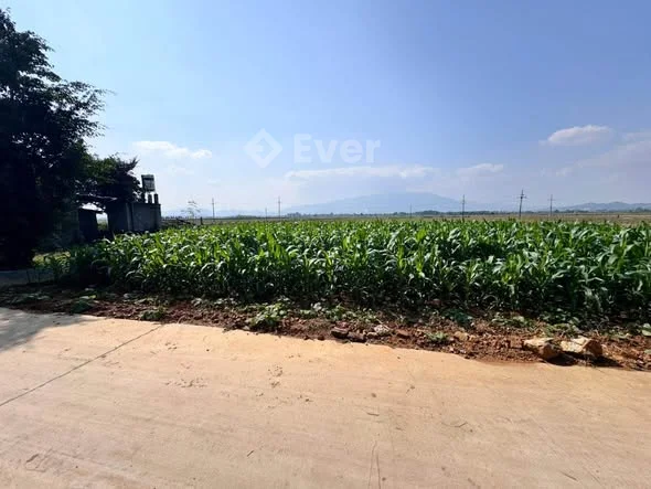 200m2 ĐỒNG TRUNG GIÁ BÁN NHANH TRONG TUẦN Đồng Trung – Thanh Thuỷ – Phú Thọ