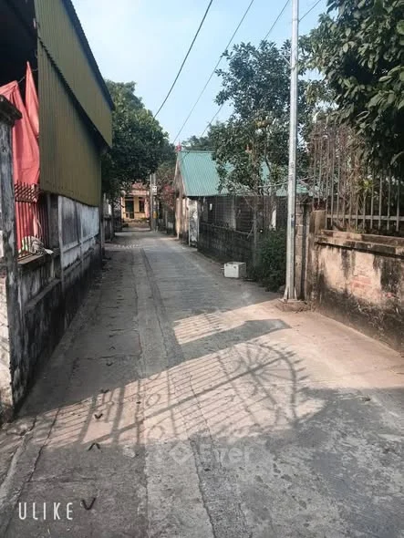 Bán đất siêu rẻ tại thị trấn Phú Xuyên