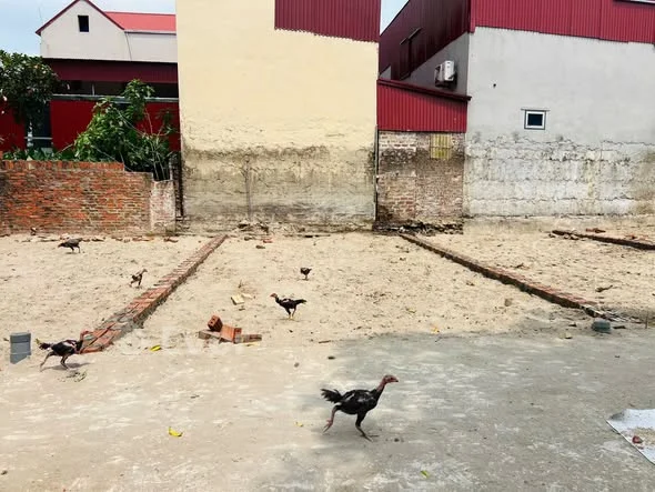 Ảnh bất động sản