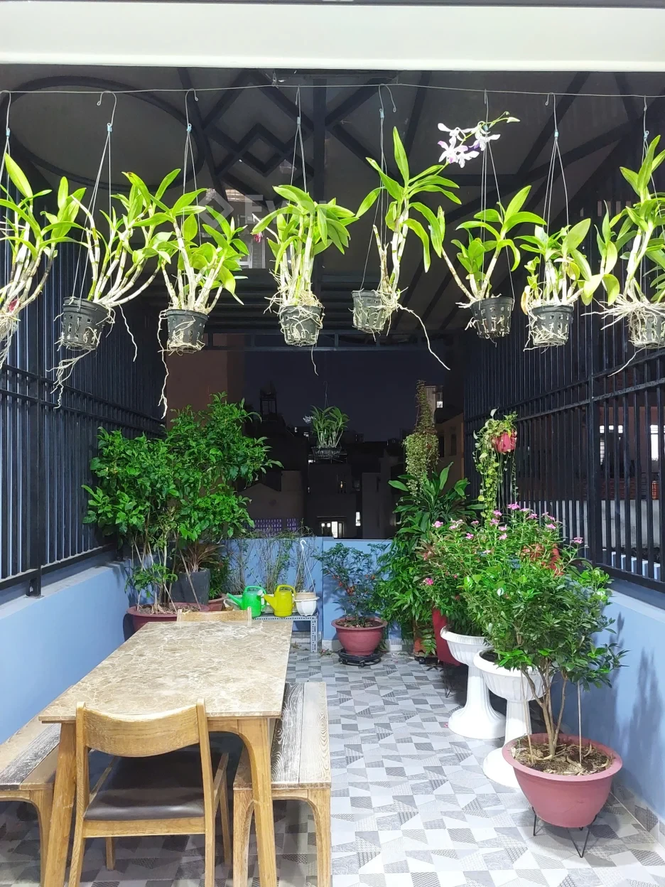 Siêu Phẩm Q10 – 66m² – BTCT – Bếp Inox – Full Công Năng