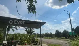 Cần bán gấp lô đất mặt tiền DH519, Bình Dương(cũ), Phước Thành, TP.HCM(mới), vị trí vàng để dầu tư trước khi giá đất tăng, diện tích 388m2(10x38,8) có 100m2 TC, giá chỉ 550tr, Bao sang tên sang sổ.