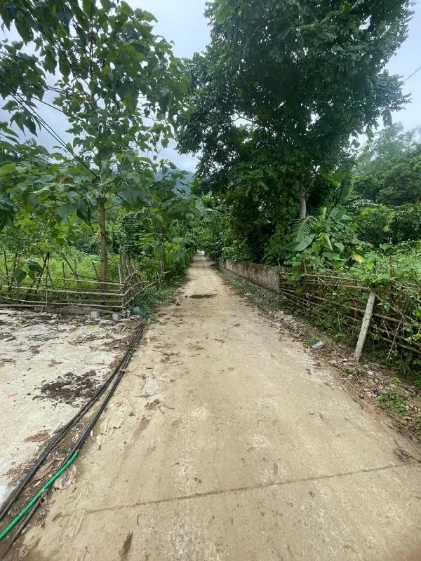 BÁN ĐẤT NGHỈ DƯỠNG HỒ ĐỒNG BỒ – 5.000M² GIÁ CHỈ 30 TỶ