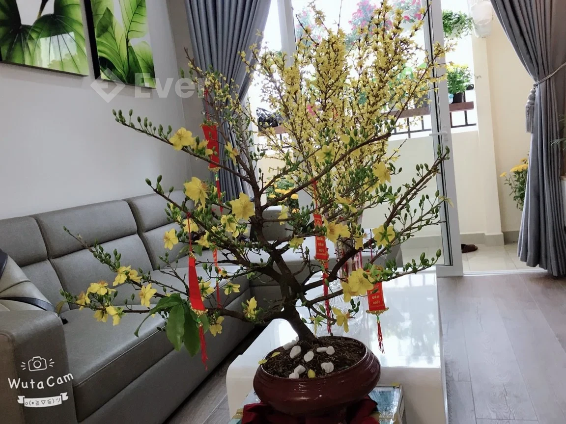 🏠 Cho thuê căn hộ Cityland Park Hills,[2PN-3PN] Từ 13Tr - Giỏ Hàng 5 Căn