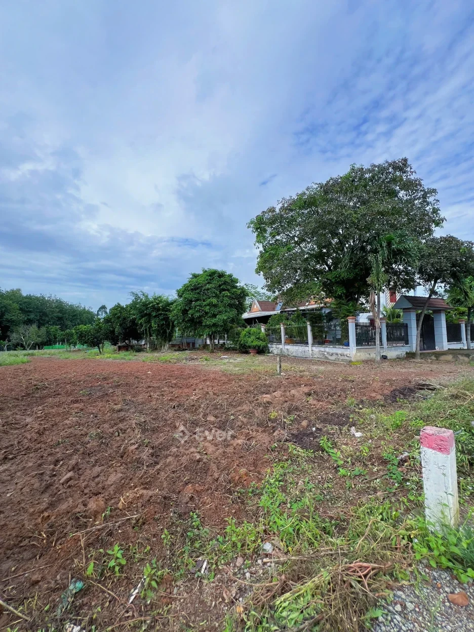 Bán gấp lô đất mặt tiền DH507, An Long, TP.HCM – 590m²(10x59) 100m² thổ cư - chỉ 690 triệu, sổ sẵn!