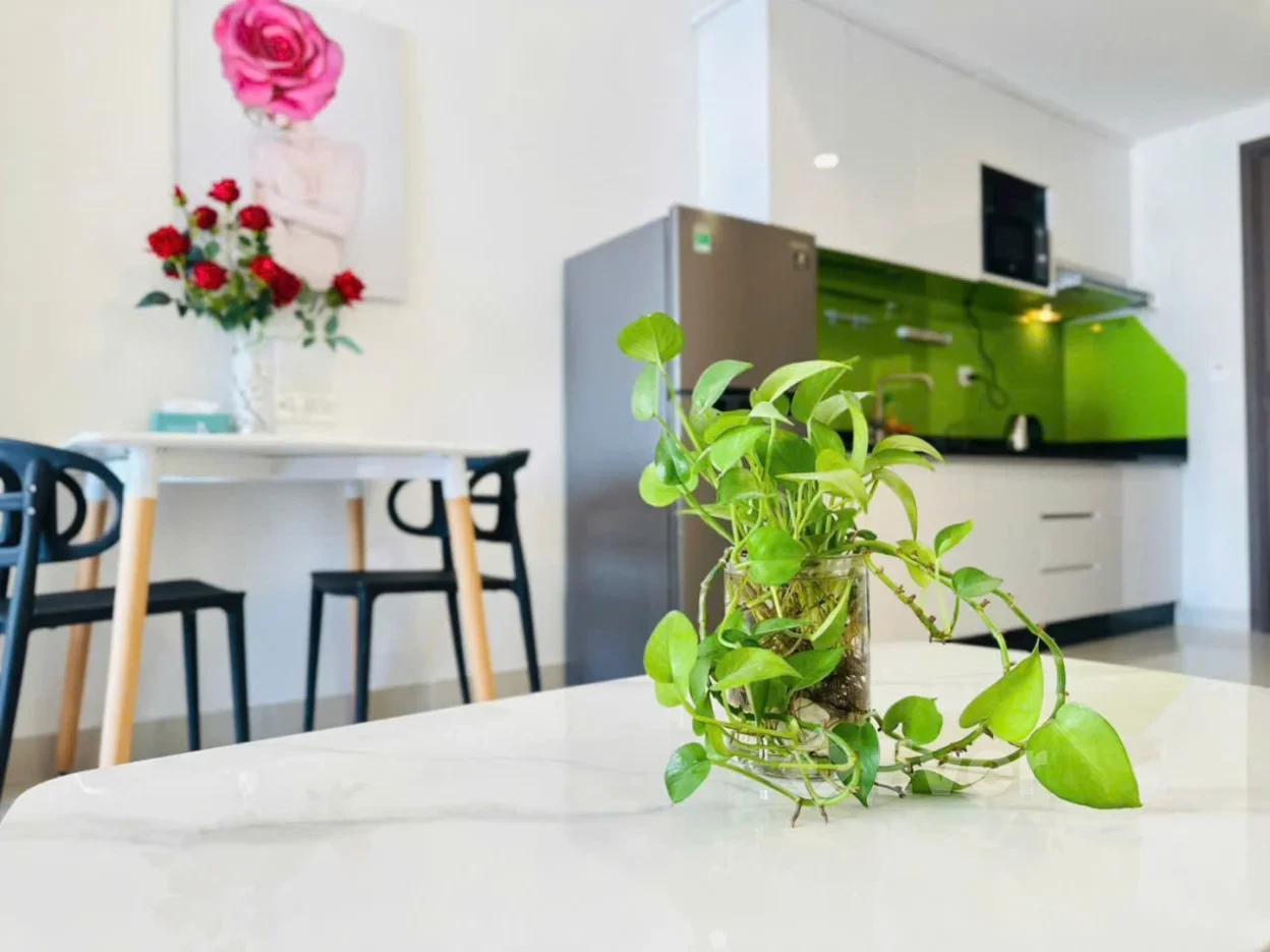 Căn hộ Studio Chung Cư Rivergate