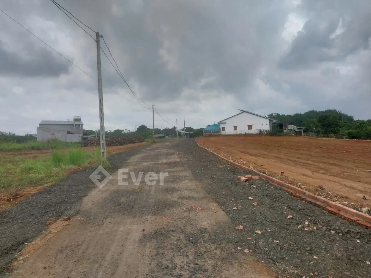 Chính chủ cần ra gấp đất, 305m2 sẵn 100m thổ cư, tại Xã Đồng Tâm, Đồng Nai, giá chỉ 300tr