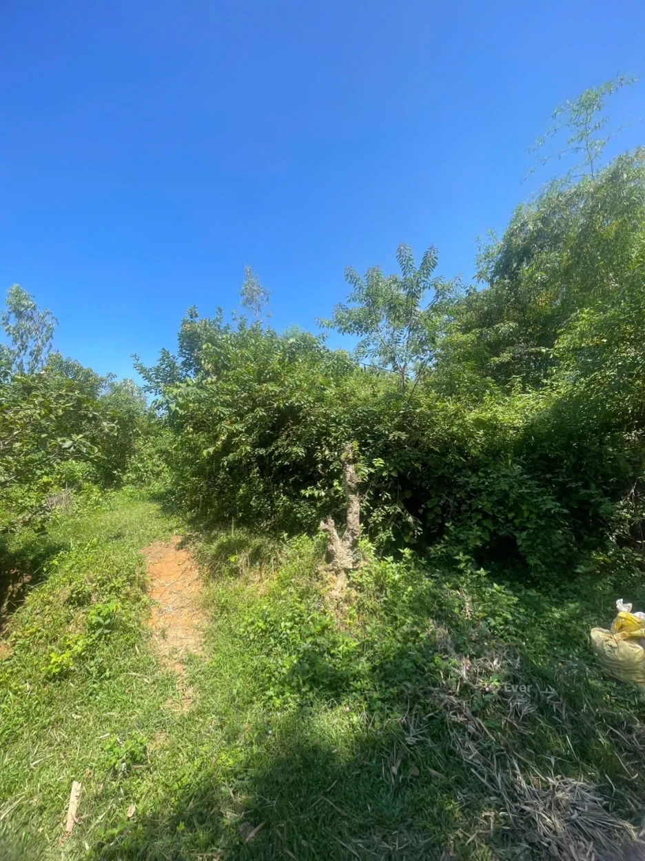 Bán lô đất tại Trại Mới Yên Xuân Hà Nội giá 20 tỉ diện tích 2336m2