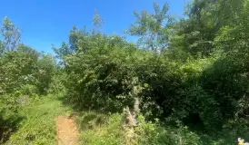 Bán lô đất tại Trại Mới Yên Xuân Hà Nội giá 20 tỉ diện tích 2336m2 - 20 tỷ - 2336m²