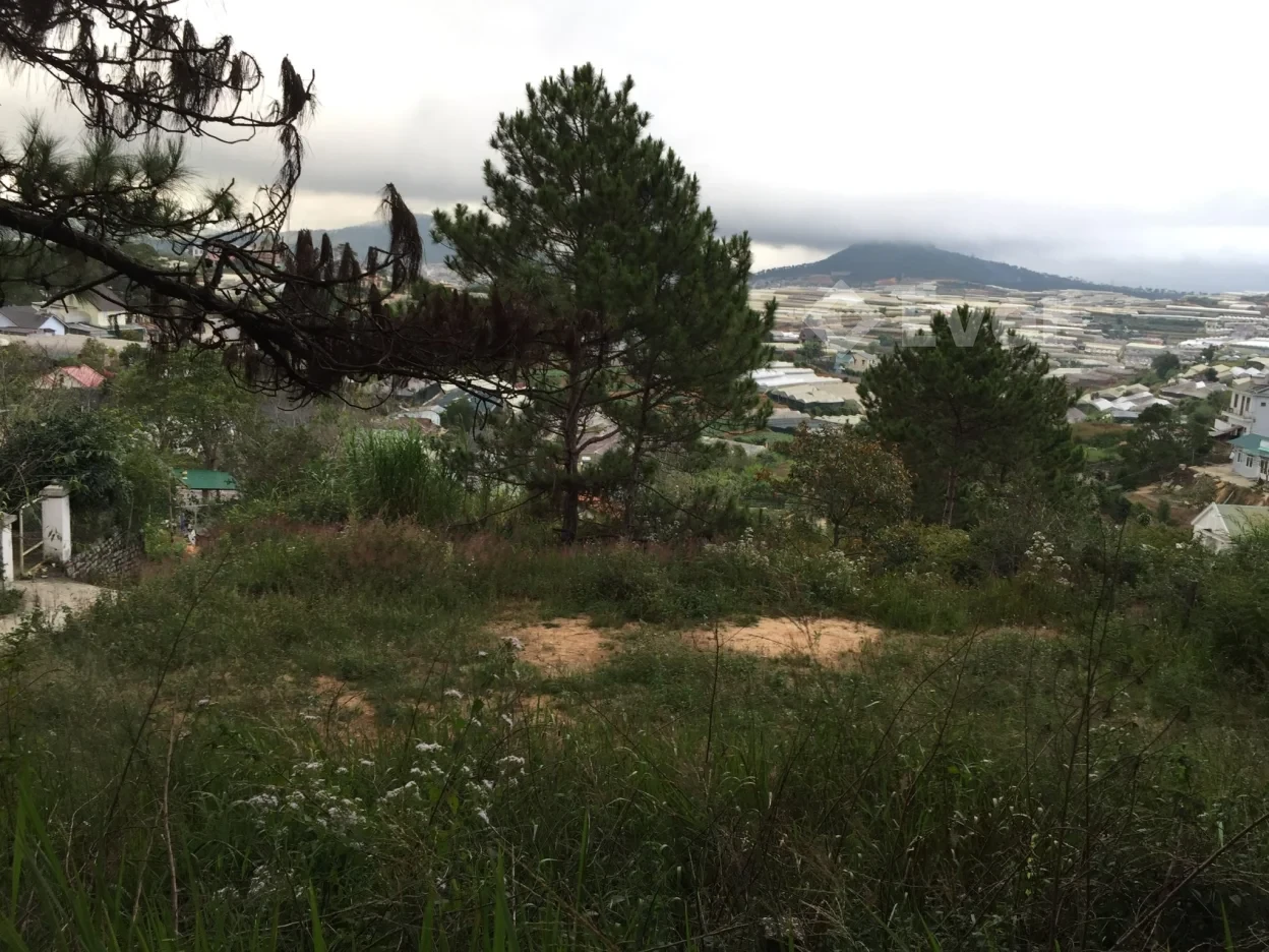 Ảnh bất động sản