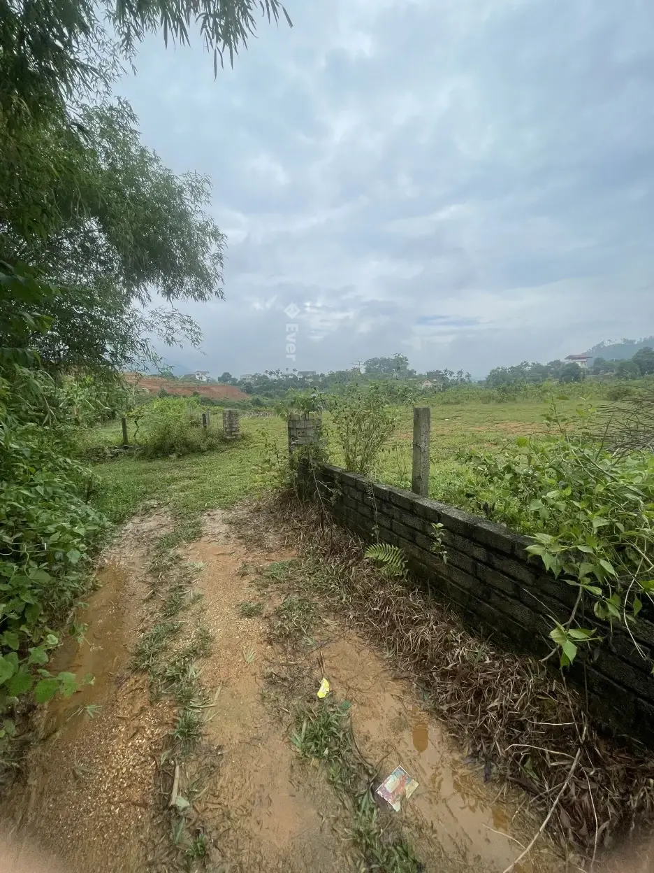 Bán lô đất tại Cố Đụng Yên Xuân Hà Nội 4223m2 giá 7tr/m2