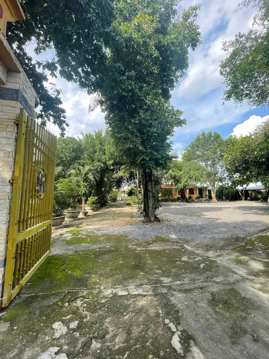 CẦN BÁN GẤP LÔ ĐẤT 2929 M2 TẠI PHÚ MỸ - TP HỒ CHÍ MINH CHO NGƯỜI LẬP TỰ