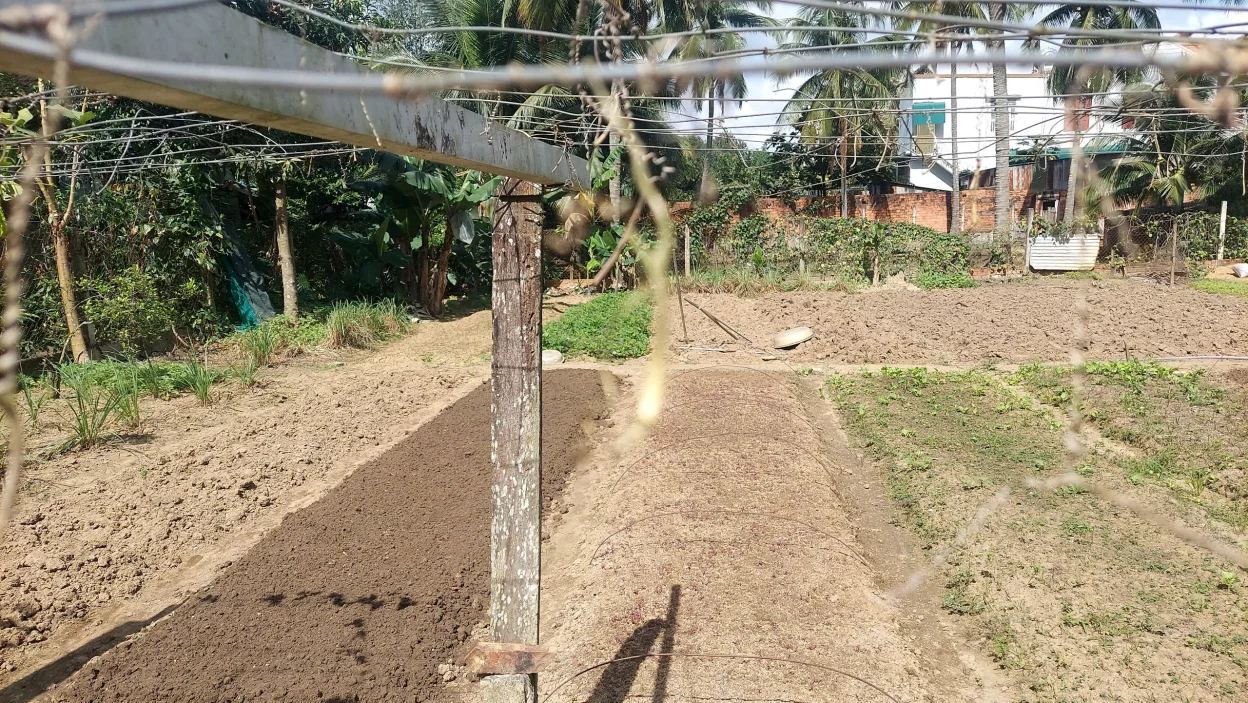 Bán đất trung tâm thi trấn M'răk. Diện tích (10x22)m2, TC 60m2. Sổ hồng riêng