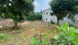 Cơ hội đầu tư đất Phú Cát, Hà Nội, 8 tỷ, 1600 m² - 8 tỷ - 1600m²