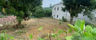 Cơ hội đầu tư đất Phú Cát, Hà Nội, 8 tỷ, 1600 m²