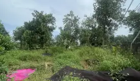 Bán lô đất 2182m2 tại Lập Thành giá 15tr/m2 - 32,73 tỷ - 2182m²