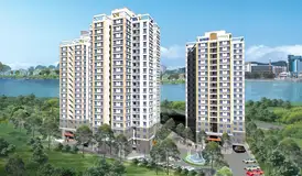 Cho thuê căn hộ cao cấp Chung cư Phú Mỹ, Quận 7