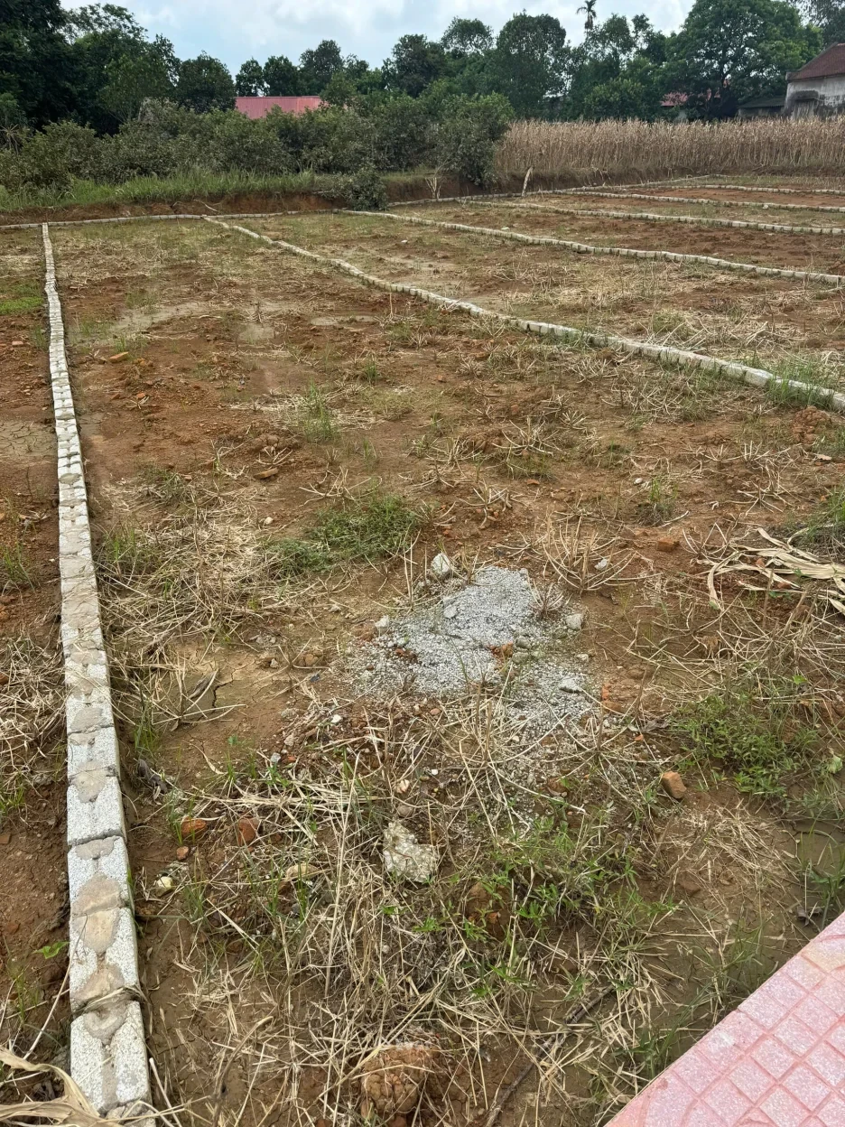 CHÍNH CHỦ CẦN CHUYỂN NHƯỢNG 5 LÔ ĐẤT ĐẸP – GIÁ CHỈ TỪ 200 TRIỆU/LÔ