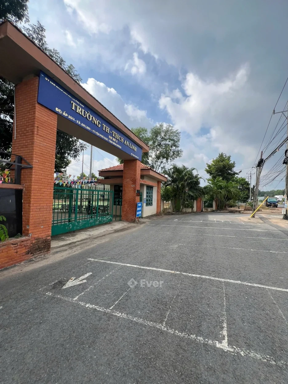 Bán đất tại DH509, An Linh, Phú Giáo, Bình Dương, 1000m2 (10x100) có 100m2 thổ cư, giá 900tr