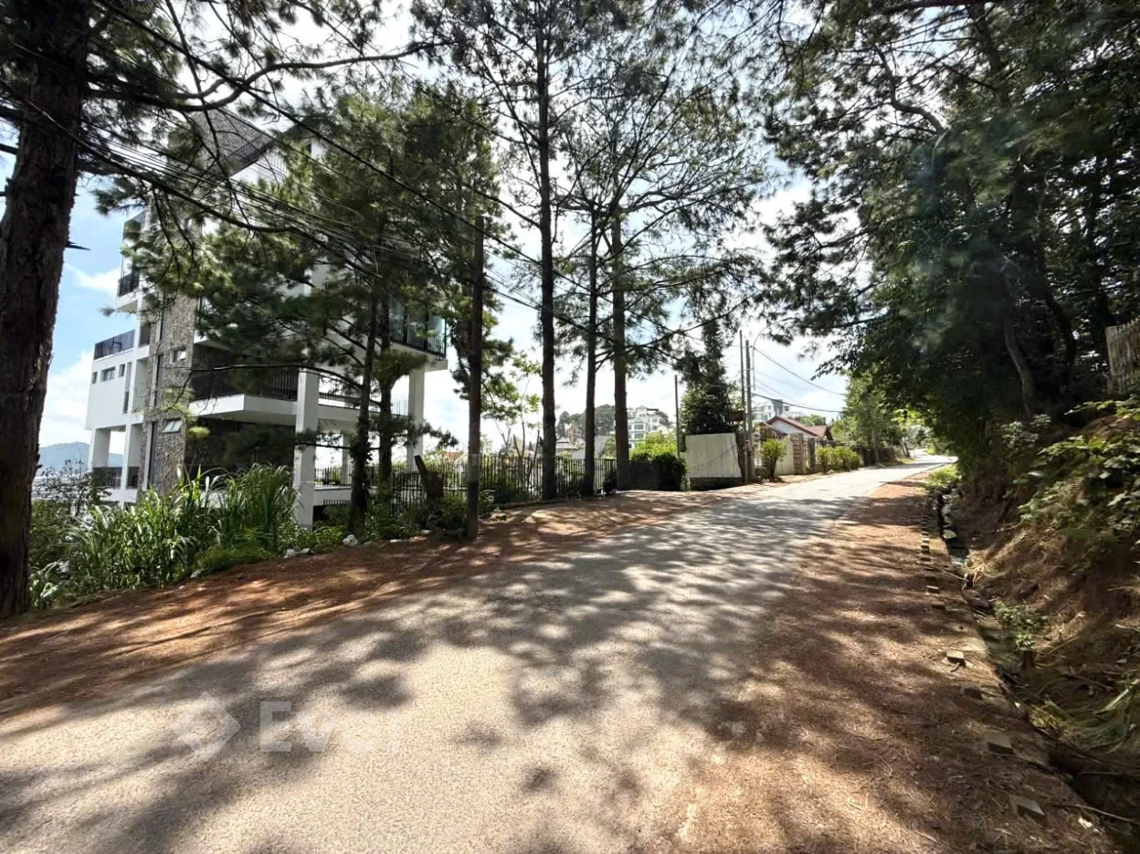 Đất view thông đẹp vĩnh viễn, 19,3m mặt tiền Trịnh Hoài Đức, Tp Đà Lạt - DT 1.488m2; Giá 75 tỷ