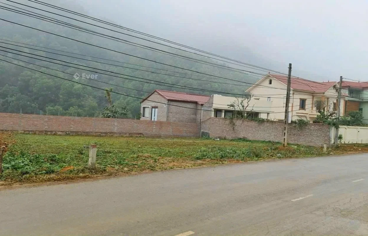 BÁN LÔ ĐẤT 441M² TẠI TRỤC CHÍNH BÃI DÀI, YÊN XUÂN – VỊ TRÍ VÀNG, GIÁ TỐT CHỈ 30 TRIỆU/M²