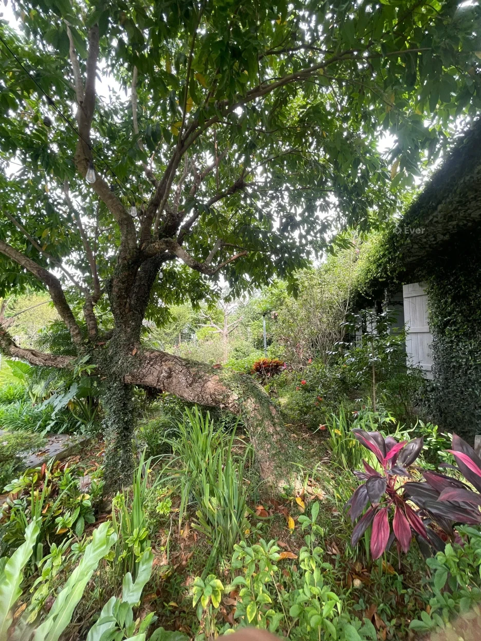 BÁN LÔ ĐẤT NGHỈ DƯỠNG 3.000M² GIÁ 55 TỶ TẠI ĐỒNG VÀNG, PHÚ CÁT – HÀ NỘI