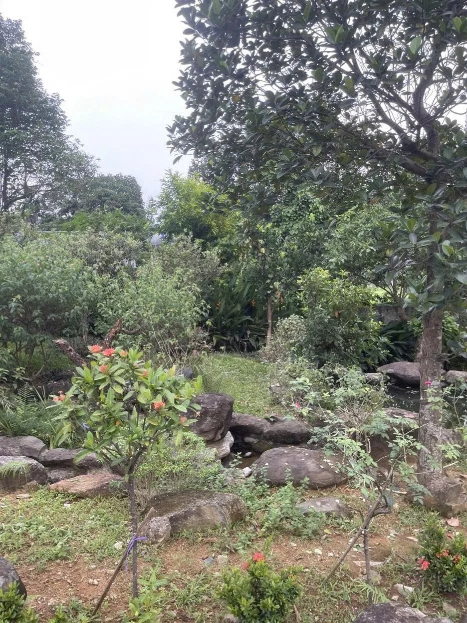 LÔ ĐẤT NGHỈ DƯỠNG 2.600M² – SẴN NHÀ PHONG CÁCH NHẬT & NHÀ XƯỞNG giá 20 tỉ tại PHÚ CÁT (PHÚ MÃN CŨ) HÀ NỘI