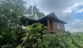 BÁN LÔ ĐẤT 7.000M² TẠI YÊN XUÂN – HÀ NỘI, GIÁ 35 TỶ