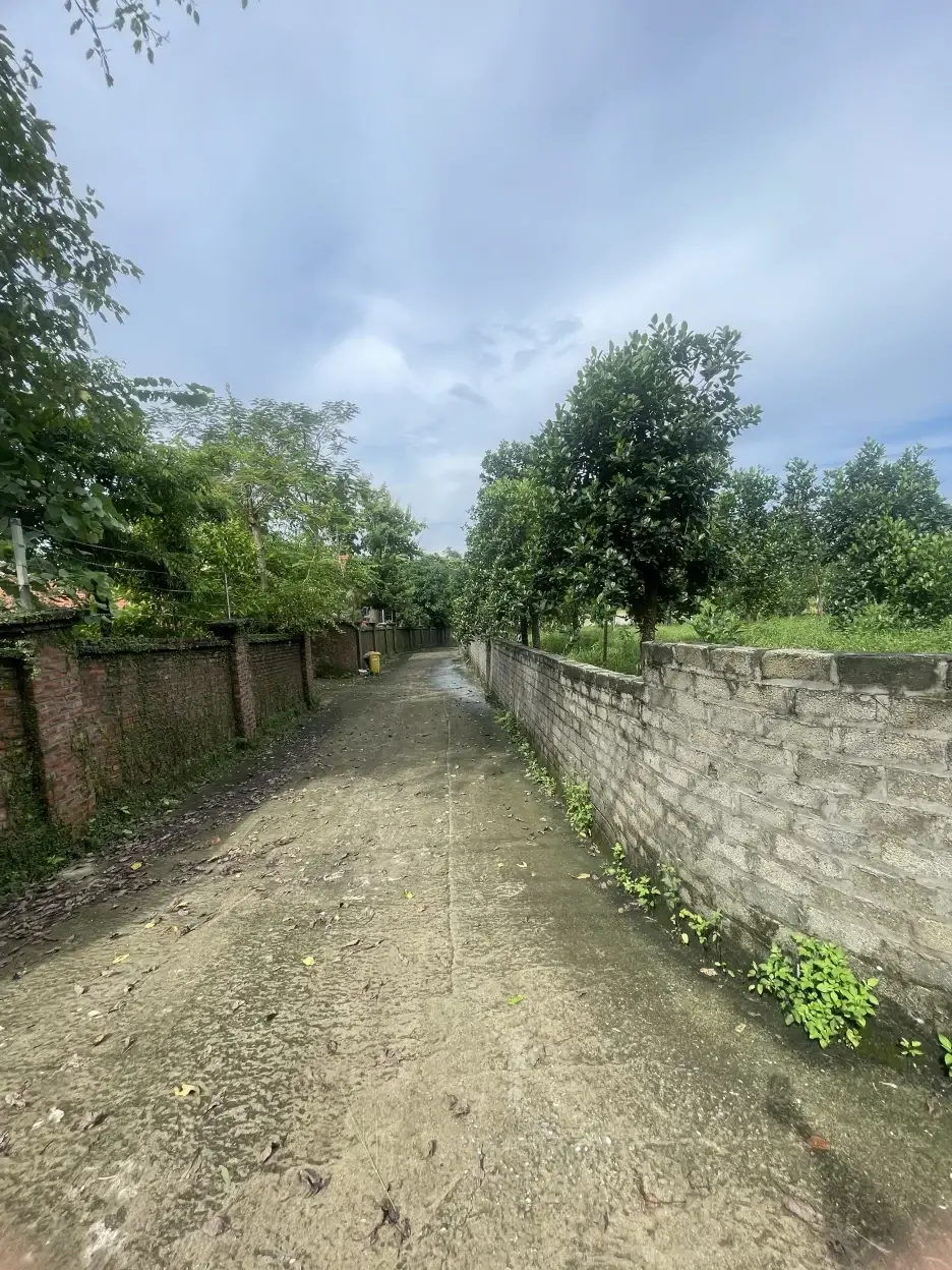 Bán lô đất 2182m2 tại Lập Thành giá 15tr/m2