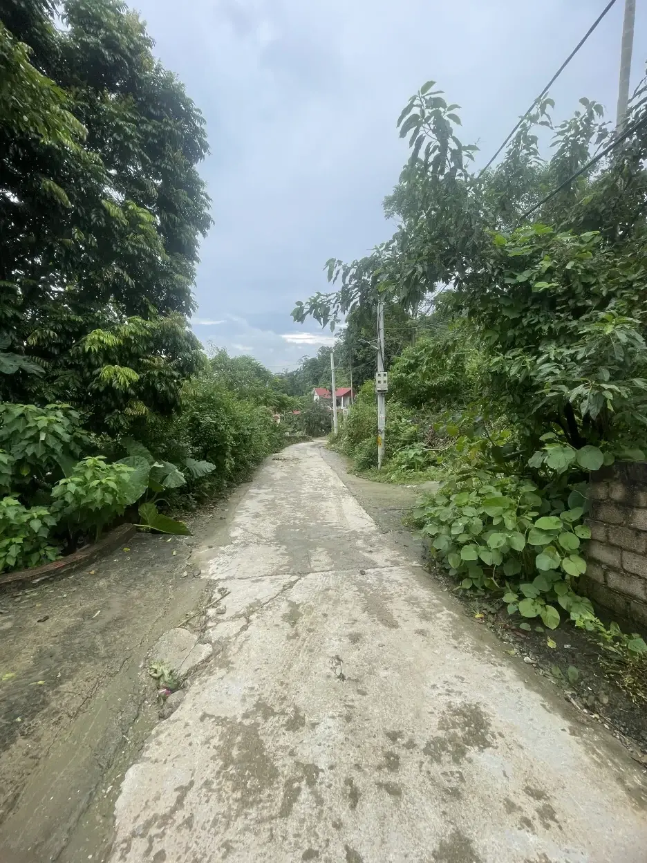 Bán lô nghỉ dưỡng 2600m2 giá 26 tỉ tại Quế Vải Yên Xuân Hà Nội