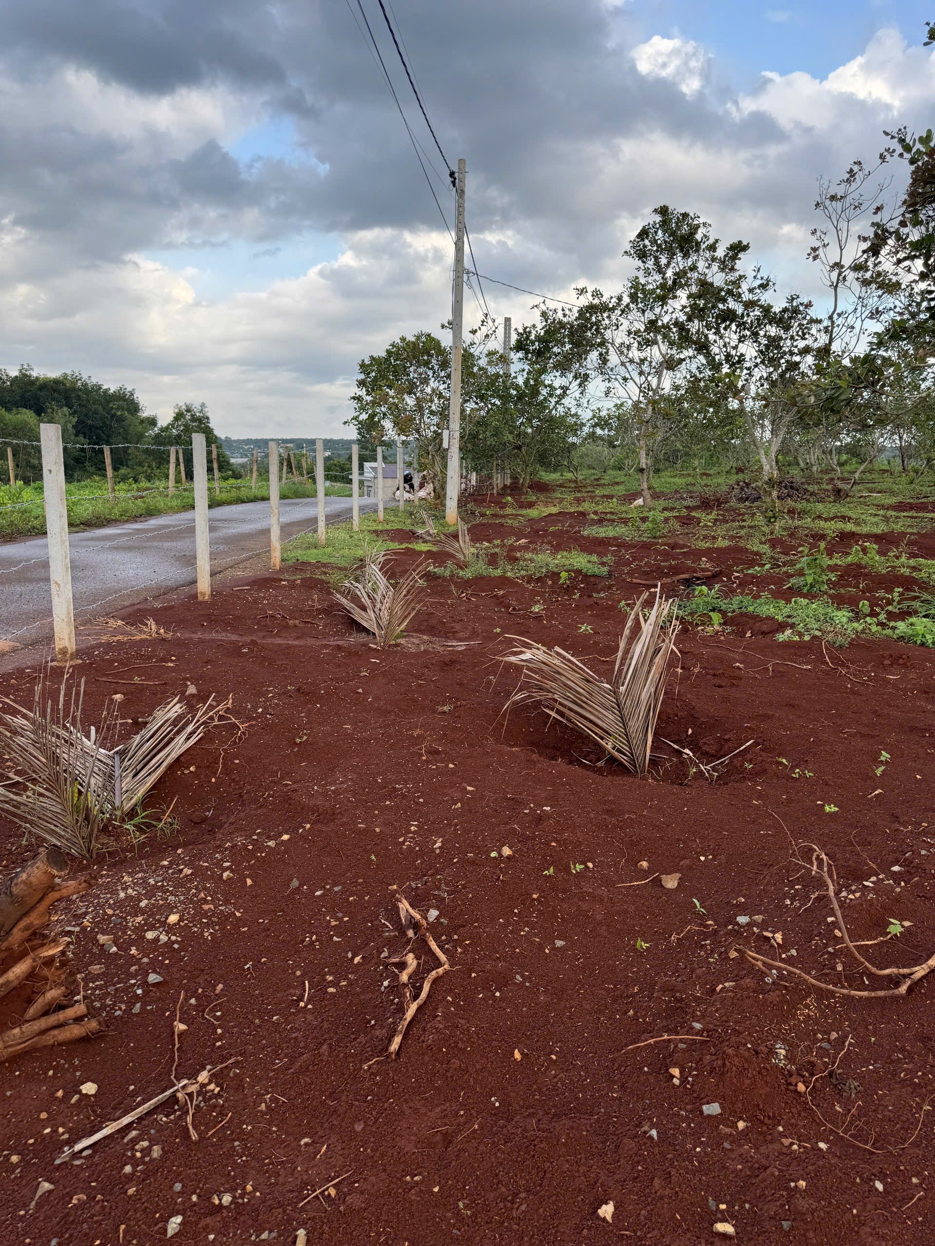 BÁN ĐẤT NÔNG NGHIỆP TẠI NGẢI GIAO, CHÂU ĐỨC, HỒ CHÍ MINH