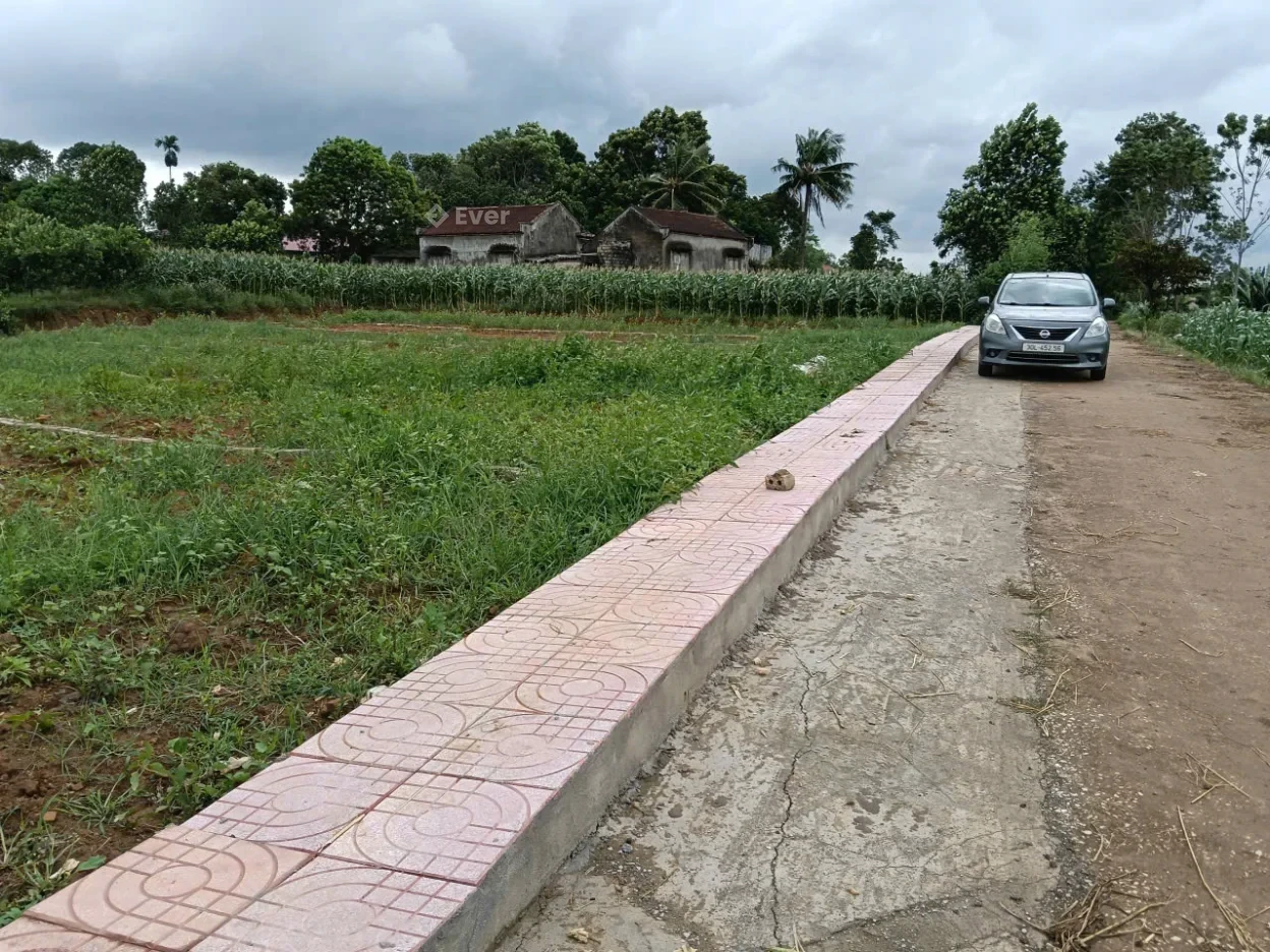 CHÍNH CHỦ CẦN CHUYỂN NHƯỢNG 5 LÔ ĐẤT ĐẸP – GIÁ CHỈ TỪ 200 TRIỆU/LÔ