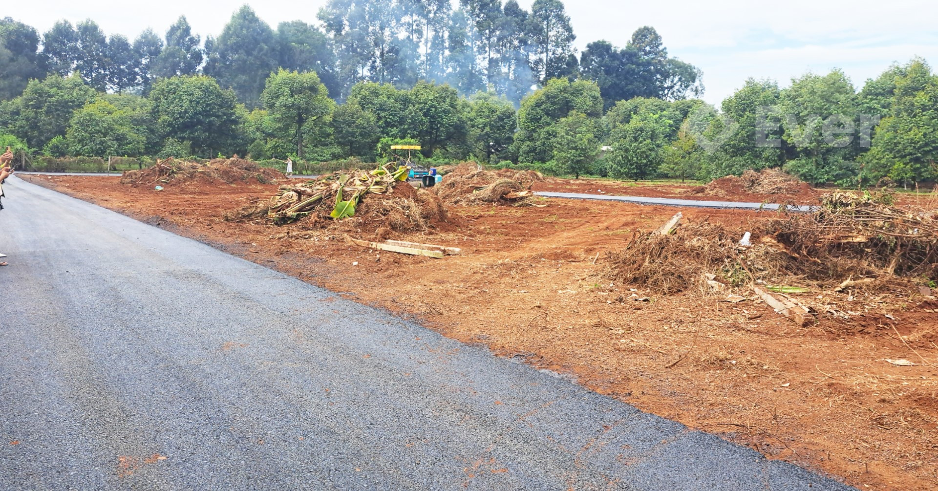 Ảnh bất động sản