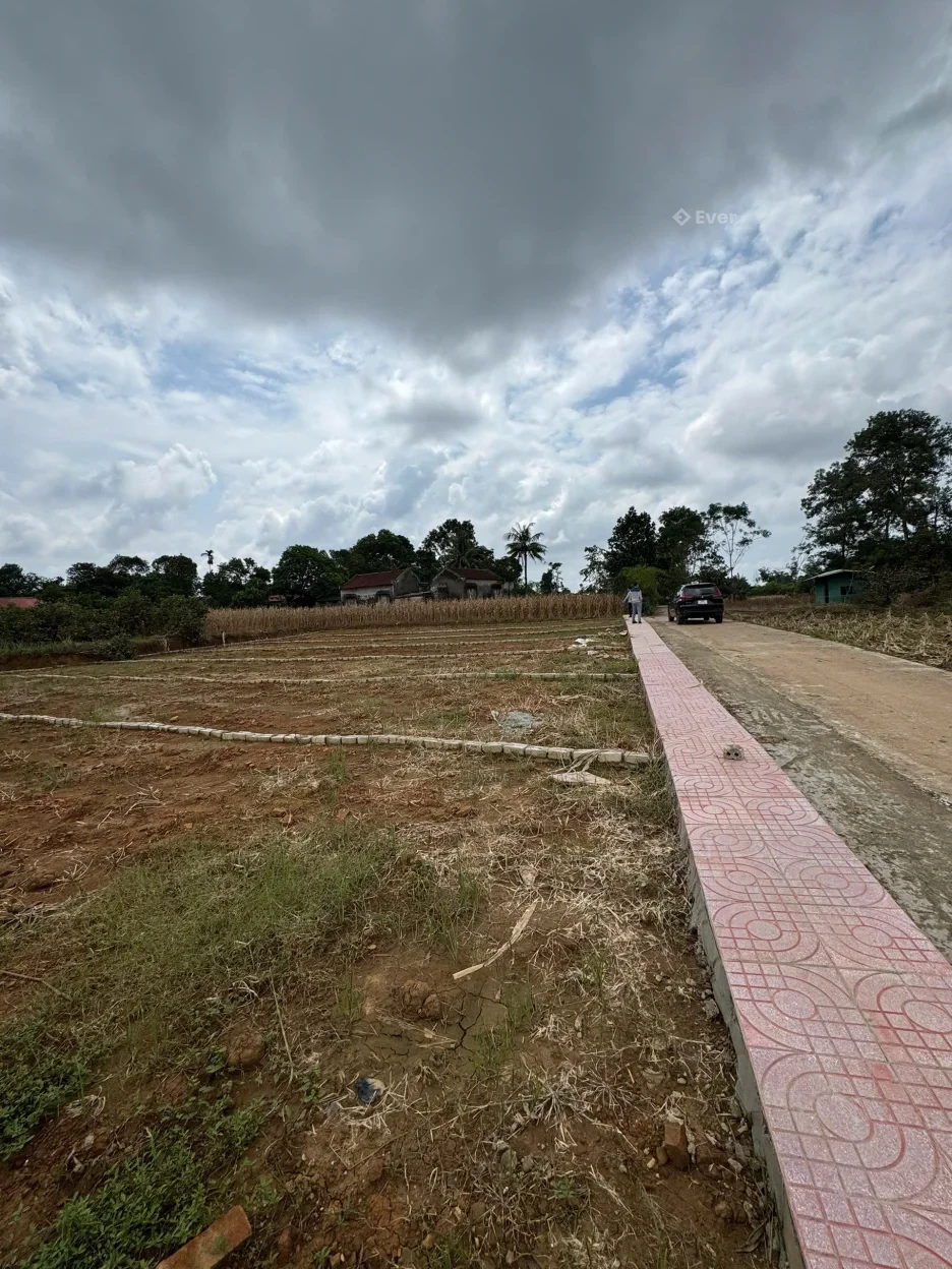 CHÍNH CHỦ CẦN CHUYỂN NHƯỢNG 5 LÔ ĐẤT ĐẸP – GIÁ CHỈ TỪ 200 TRIỆU/LÔ