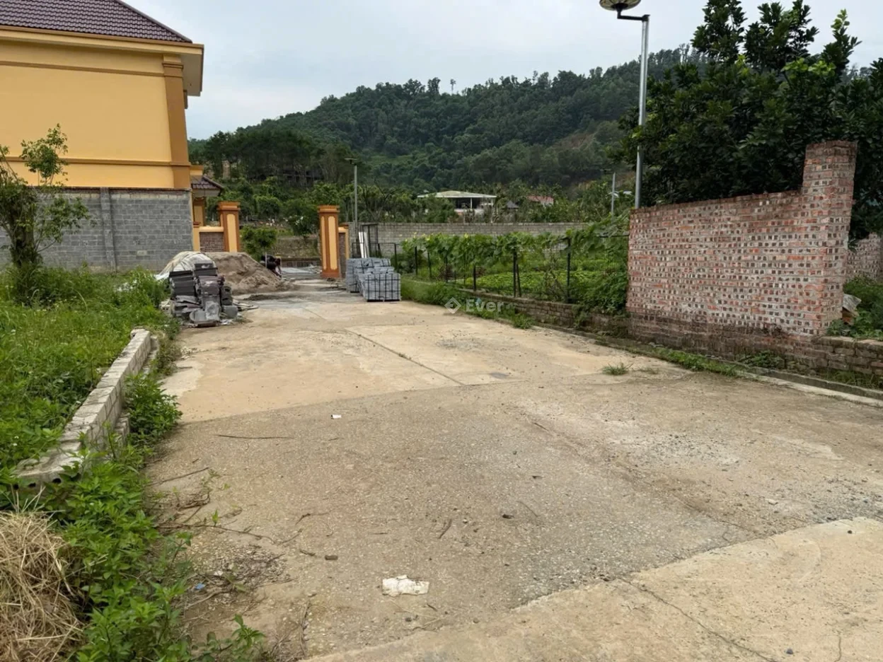 Bán lô đất 125m2 giá 30tr/m2 tại Đồng Chằm Yên Xuân